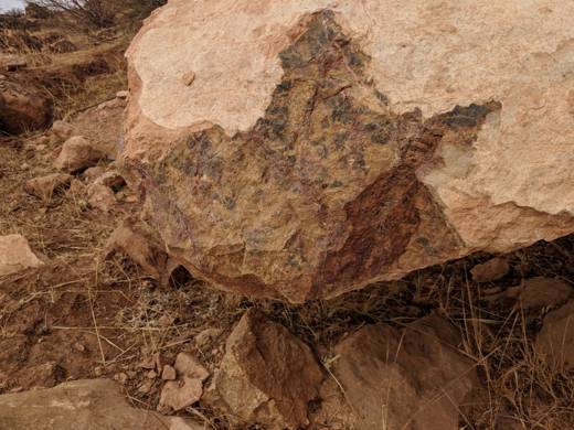 Breccia Medusa